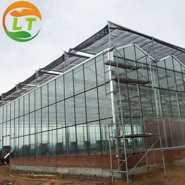 Greenhouse with Farm Irrigation Systems Custom Green House for Planting Agricultural Greenhouse Glass Greenhouses China Film