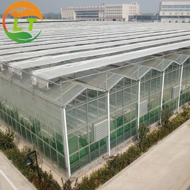 Greenhouse with Farm Irrigation Systems Custom Green House for Planting Agricultural Greenhouse Glass Greenhouses China Film