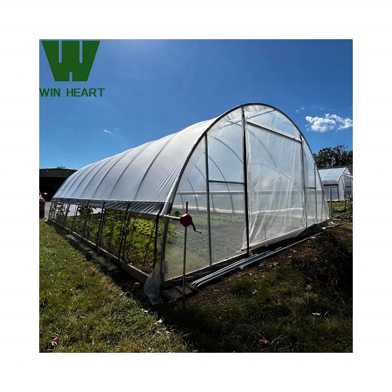 Outdoor Winter Single Tunnel Greenhouses for Vegetables growing
