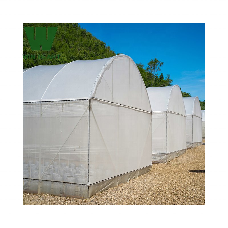 Outdoor Winter Single Tunnel Greenhouses for Vegetables growing