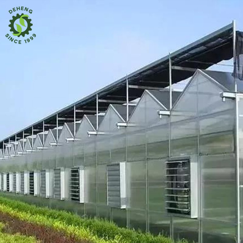 Wholesale High Quality Large Agricultural Greenhouse Solar Panel Agricultural Growing Pc Greenhosuse