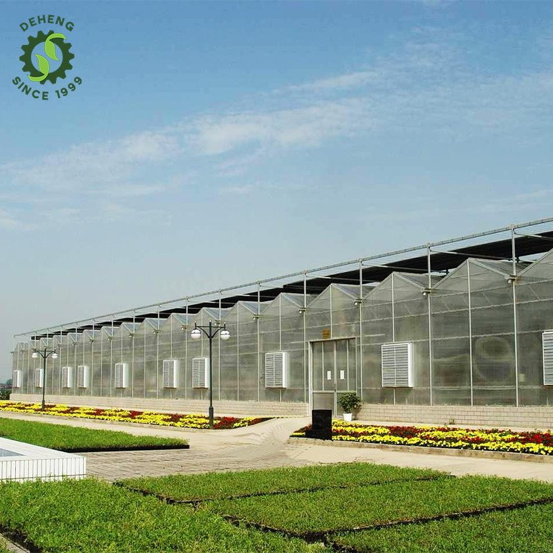 Wholesale High Quality Large Agricultural Greenhouse Solar Panel Agricultural Growing Pc Greenhosuse