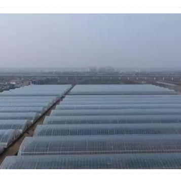 Film Transparent Large Sides & Top Ventilation Plant Growth Large Multi-span Plastic or as Customized Greenhouse for Plants 3m