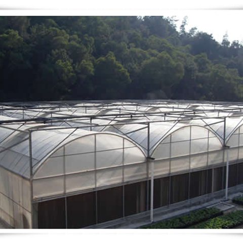 Film Transparent Large Sides & Top Ventilation Plant Growth Large Multi-span Plastic or as Customized Greenhouse for Plants 3m