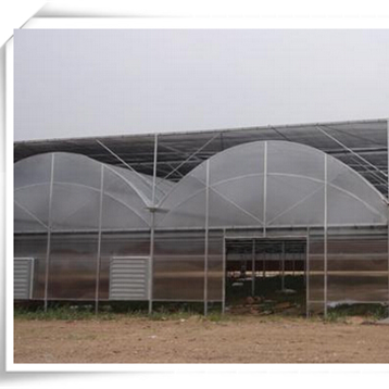 Film Transparent Large Sides & Top Ventilation Plant Growth Large Multi-span Plastic or as Customized Greenhouse for Plants 3m