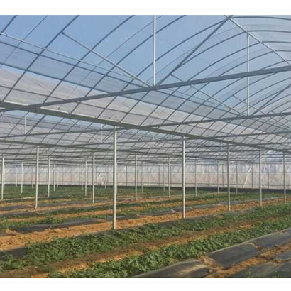 Film Transparent Large Sides & Top Ventilation Plant Growth Large Multi-span Plastic or as Customized Greenhouse for Plants 3m
