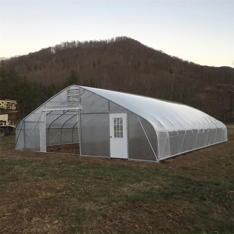 One one Nursery Easily Installed agricultural winter tunnel greenhouse for sale best price cheap price tunnel greenhouse