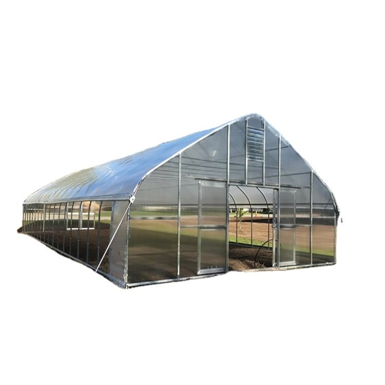 One one Nursery Easily Installed agricultural winter tunnel greenhouse for sale best price cheap price tunnel greenhouse