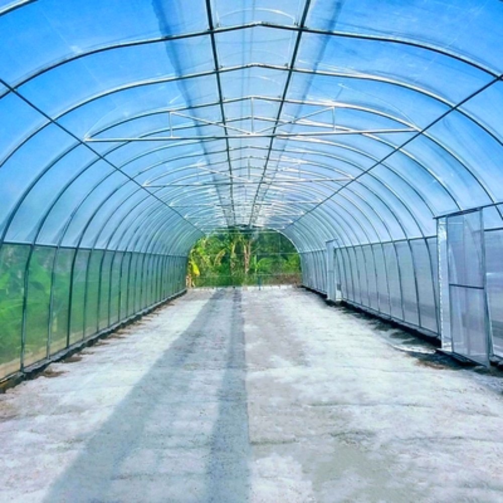 Large Greenhouse Tunnel Single Span Winter Vegetable Green House Hot Galvanized Steel Frame Aluminum Film Material Plant Usage