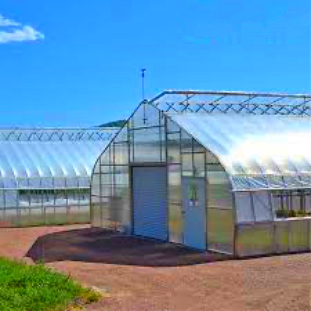 Large Greenhouse Tunnel Single Span Winter Vegetable Green House Hot Galvanized Steel Frame Aluminum Film Material Plant Usage