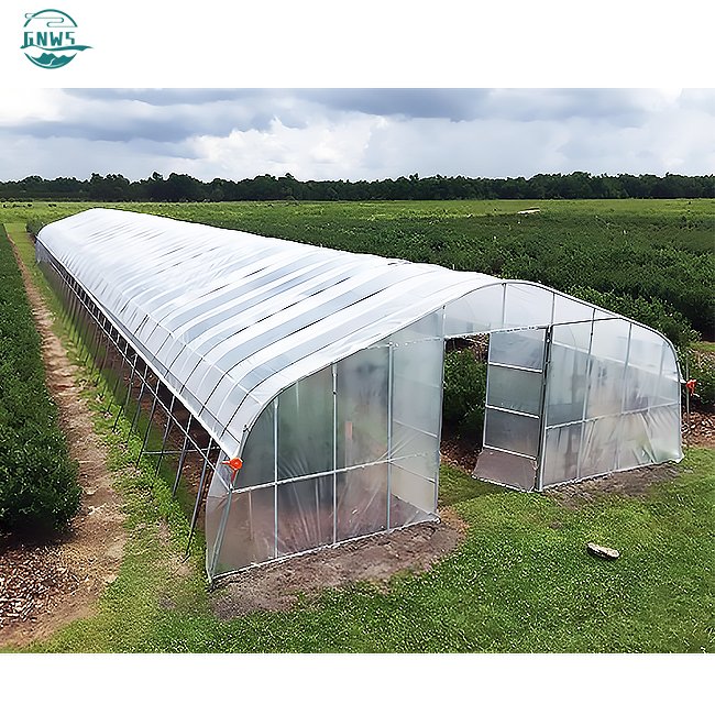 manufacturing orangery cooling system house metal frame film smart tomato vegetables growing cheap agricultural greenhouse