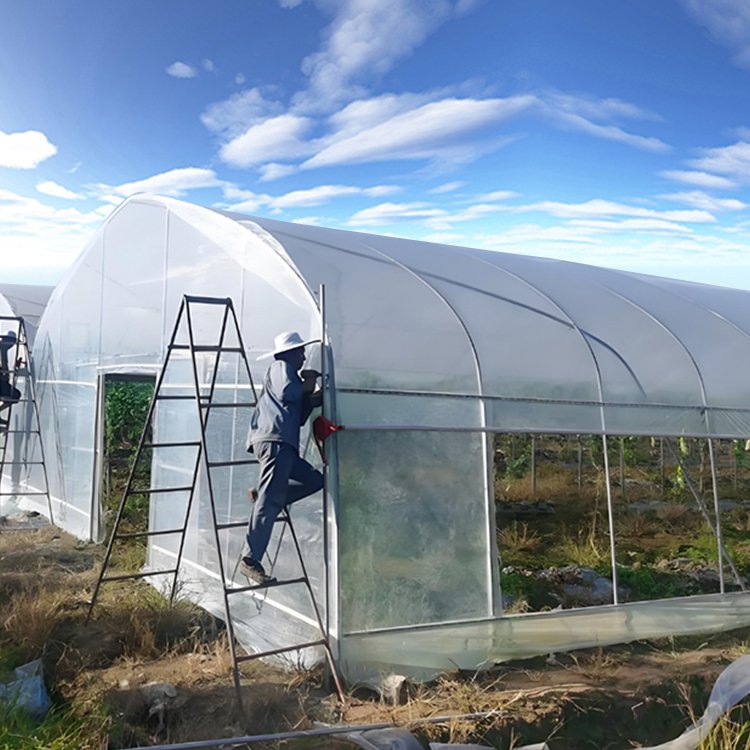 manufacturing orangery cooling system house metal frame film smart tomato vegetables growing cheap agricultural greenhouse