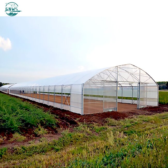 manufacturing orangery cooling system house metal frame film smart tomato vegetables growing cheap agricultural greenhouse