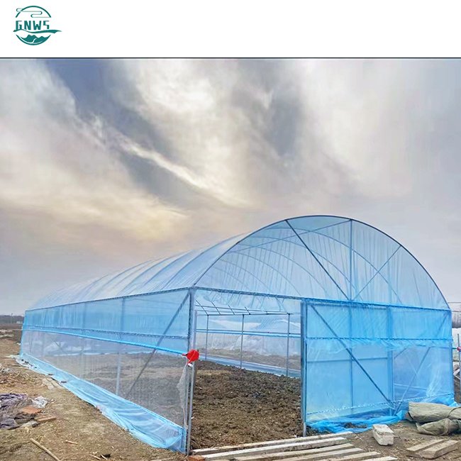 manufacturing orangery cooling system house metal frame film smart tomato vegetables growing cheap agricultural greenhouse