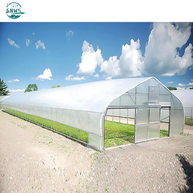 manufacturing orangery cooling system house metal frame film smart tomato vegetables growing cheap agricultural greenhouse