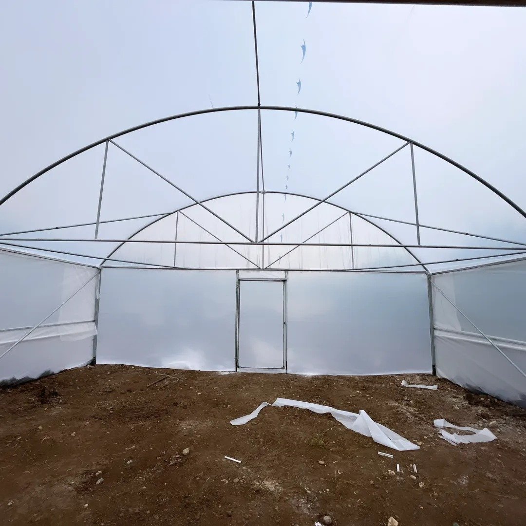 Cheap and easy to assemble film greenhouse tomatoes for agriculture, portable tunnel greenhouse for drying