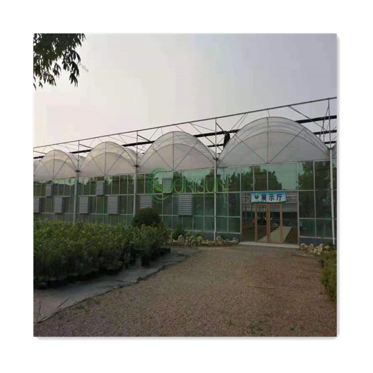Serre Agricole Reasonable Price Professional Manufacturer Low Price Acrylic Glass Multispan Agricultural Greenhouses