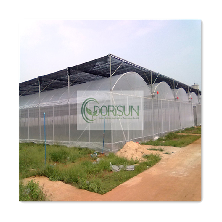 Serre Agricole Reasonable Price Professional Manufacturer Low Price Acrylic Glass Multispan Agricultural Greenhouses