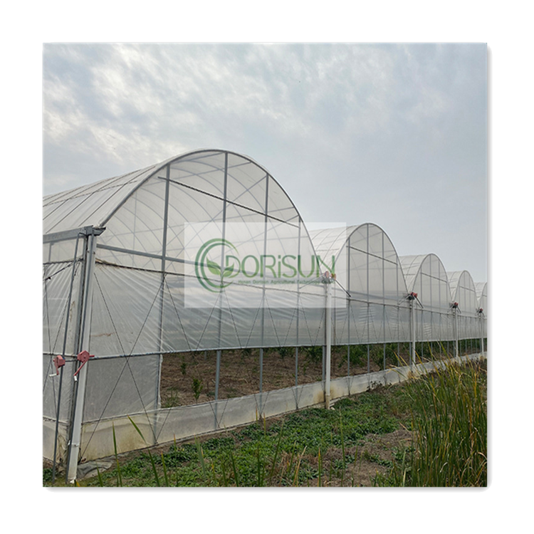Serre Agricole Reasonable Price Professional Manufacturer Low Price Acrylic Glass Multispan Agricultural Greenhouses