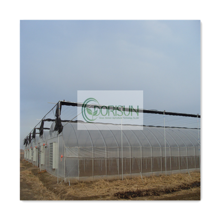 Serre Agricole Reasonable Price Professional Manufacturer Low Price Acrylic Glass Multispan Agricultural Greenhouses