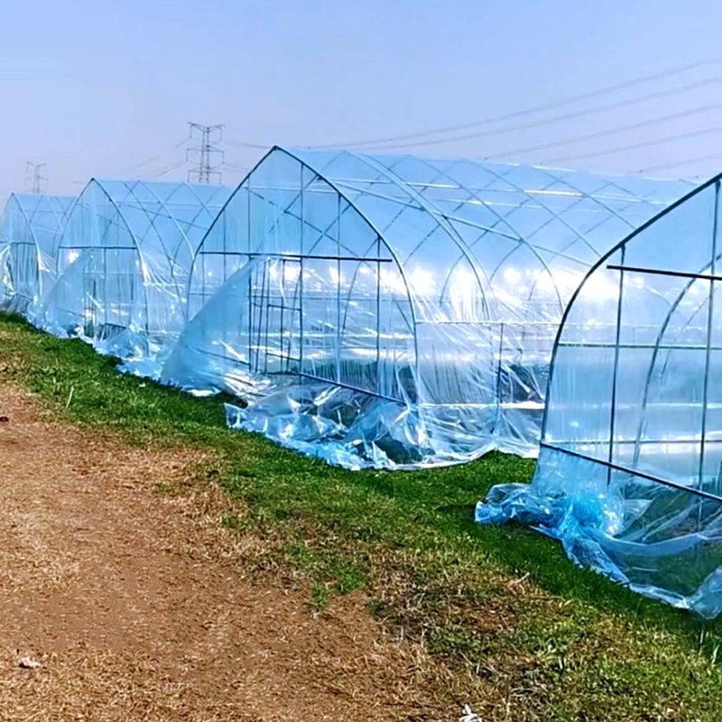 Factory Direct Supply 200 Micron Agricultural Greenhouse Anti-Drip Greenhouse Plastic Film