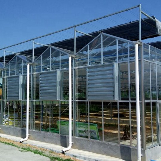 Greenhouse with Grow Light Honyu Global Commercial Venlo Type Tempered Glass Transparent Large Water Saving Irrigation System