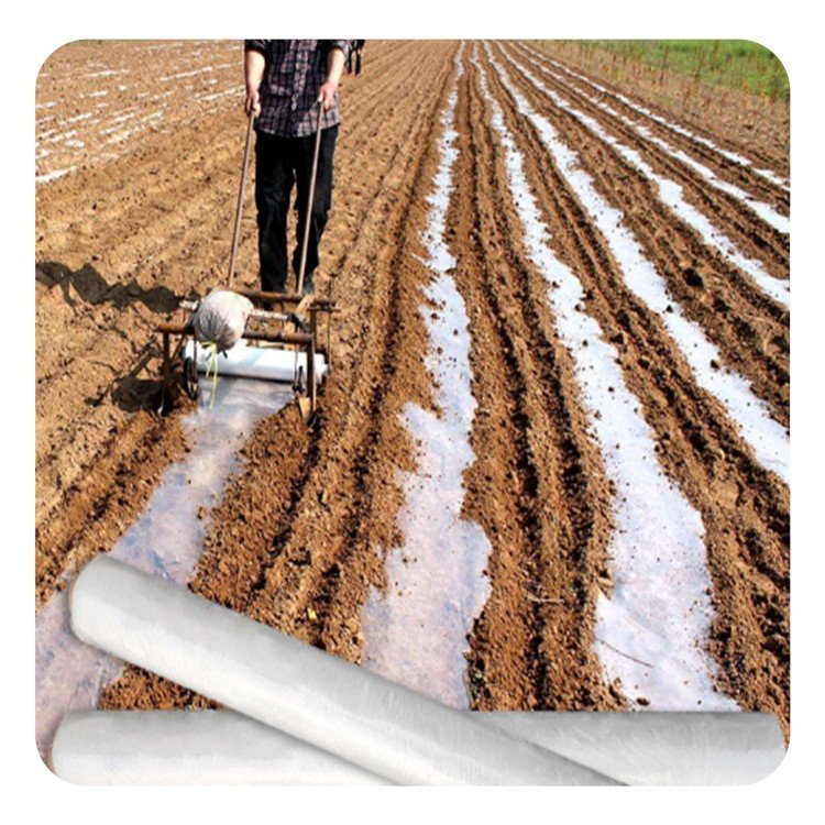 Custom Size Greenhouse Covering Garden Farming Ground Cover Plant Poly Mulching Sheet Plastic Farmland Mulch Film for Vegetable