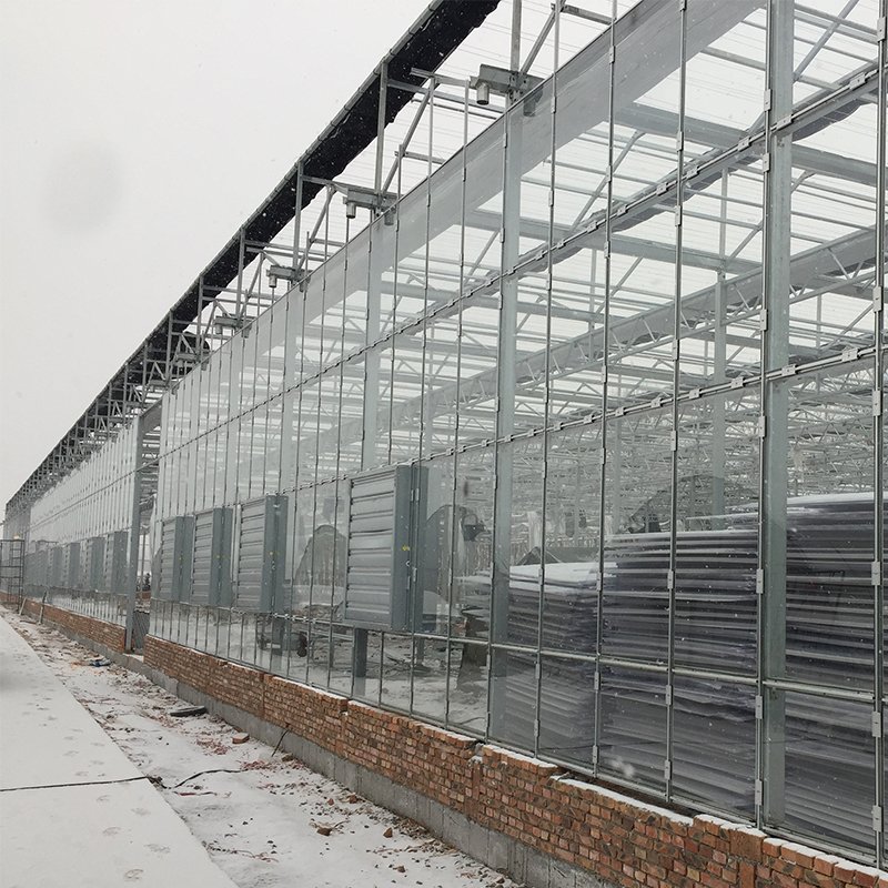 Agricultural Greenhouse Glass Greenhouse Sell Greenhouse Green Large Commercial Used High Quality Glass Green House for Sale
