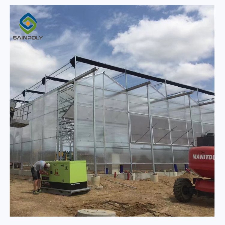 Tomato Hydroponic Systems Sold In serre agricole Polycarbonate Greenhouses