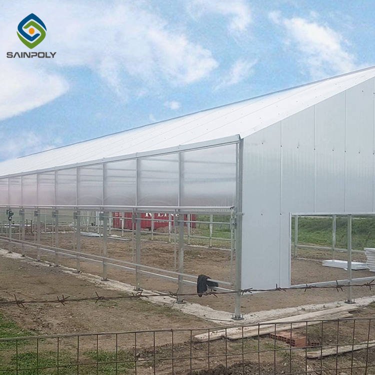 Tomato Hydroponic Systems Sold In serre agricole Polycarbonate Greenhouses