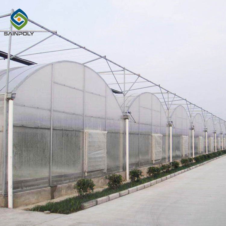 Tomato Hydroponic Systems Sold In serre agricole Polycarbonate Greenhouses