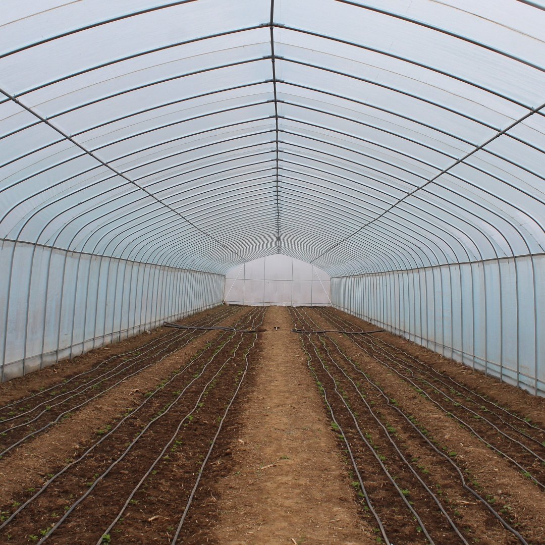 Agriculture Greenhouse for Watermelon Film Plastic Agriculture Greenhouse Hoop House
