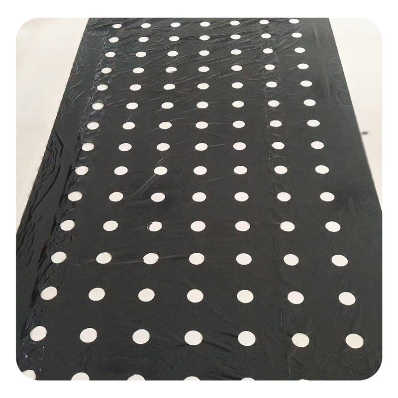 High Quality Biodegradable Agricultural Black and Silver Plastic Reflective Mulching Cover Mulch Film With Different Rows Holes