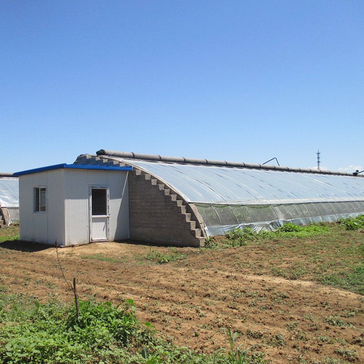 8x20m outdoor China metal frame agriculture tunnel green house strawberry solar passive greenhouses for sale