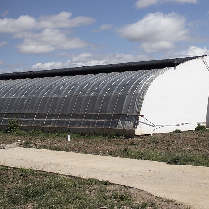 8x20m outdoor China metal frame agriculture tunnel green house strawberry solar passive greenhouses for sale
