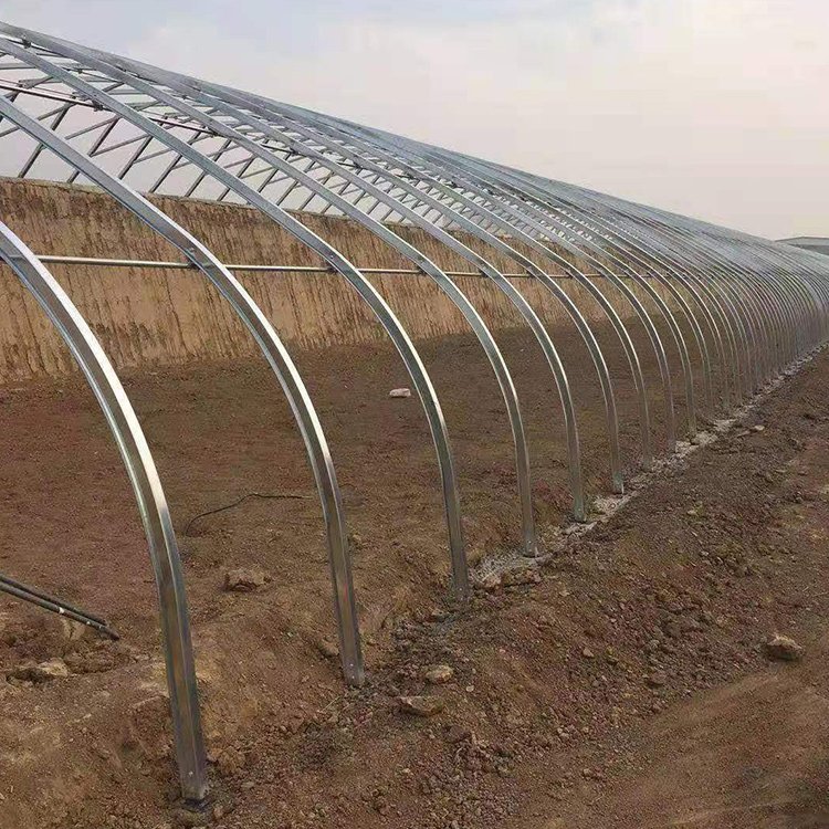 8x20m outdoor China metal frame agriculture tunnel green house strawberry solar passive greenhouses for sale