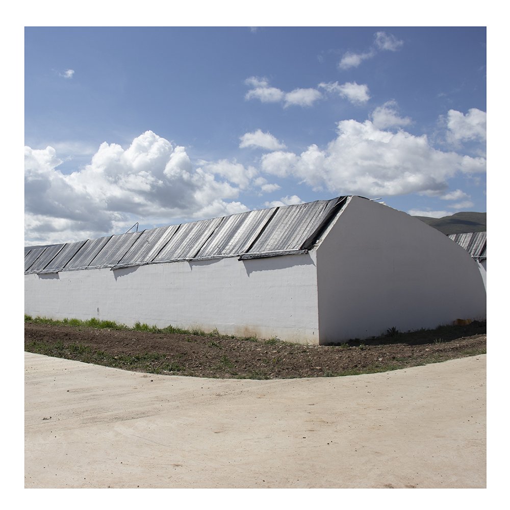 8x20m outdoor China metal frame agriculture tunnel green house strawberry solar passive greenhouses for sale