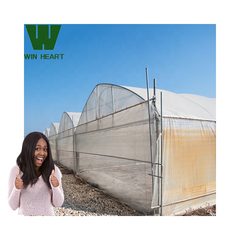 Agriculture greenhouse poly-tunnels frame multi-span vegetables growing tunnel industrial