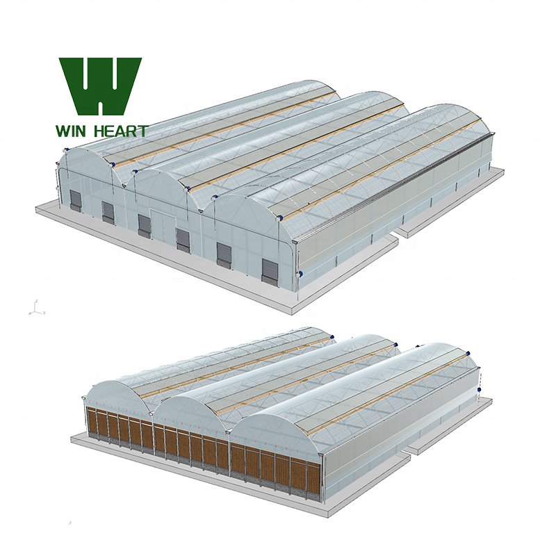 Agriculture greenhouse poly-tunnels frame multi-span vegetables growing tunnel industrial