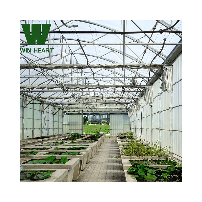 Agriculture greenhouse poly-tunnels frame multi-span vegetables growing tunnel industrial