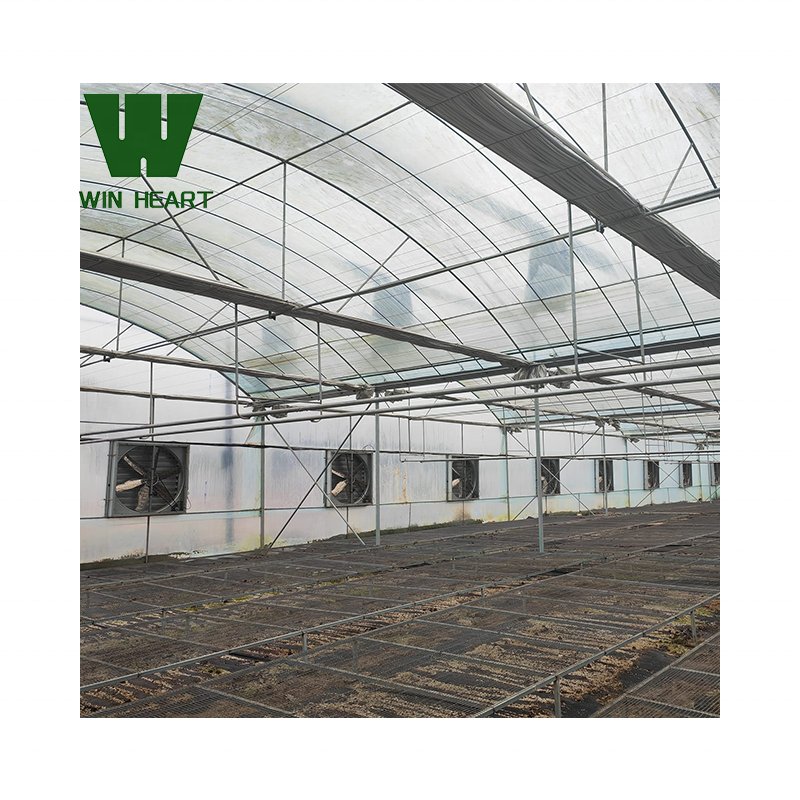 Agriculture greenhouse poly-tunnels frame multi-span vegetables growing tunnel industrial