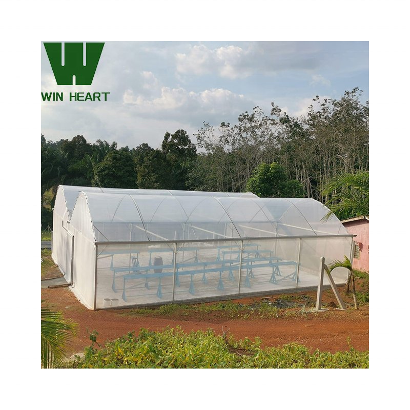 Agriculture greenhouse poly-tunnels frame multi-span vegetables growing tunnel industrial