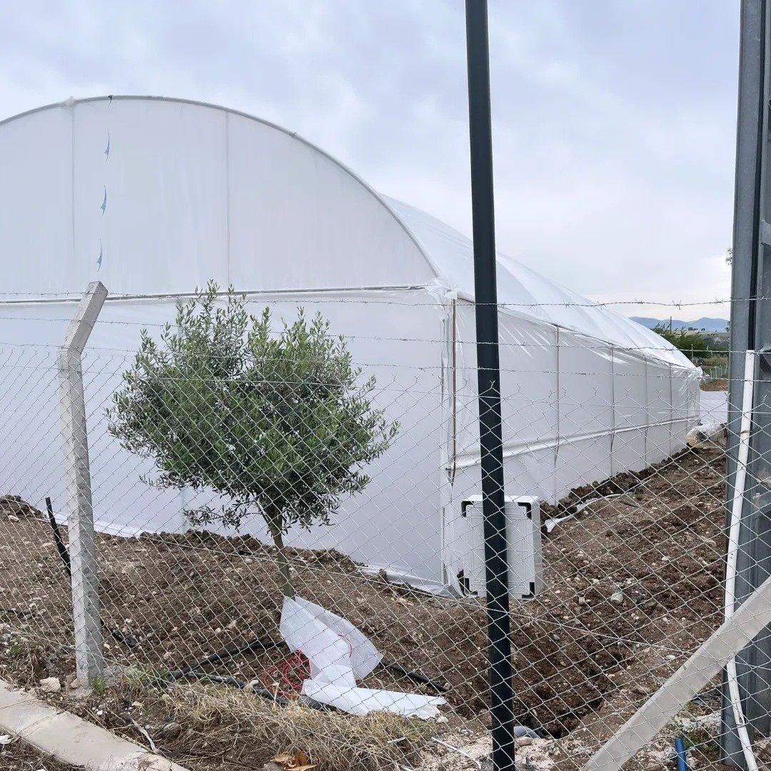 agricultural/commercial green house greenhouse