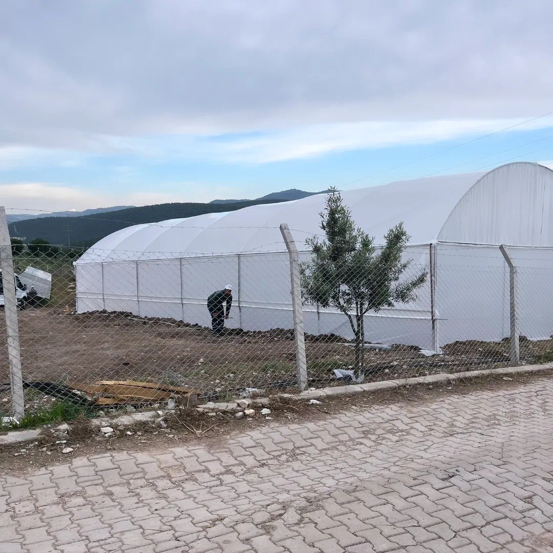 agricultural/commercial green house greenhouse