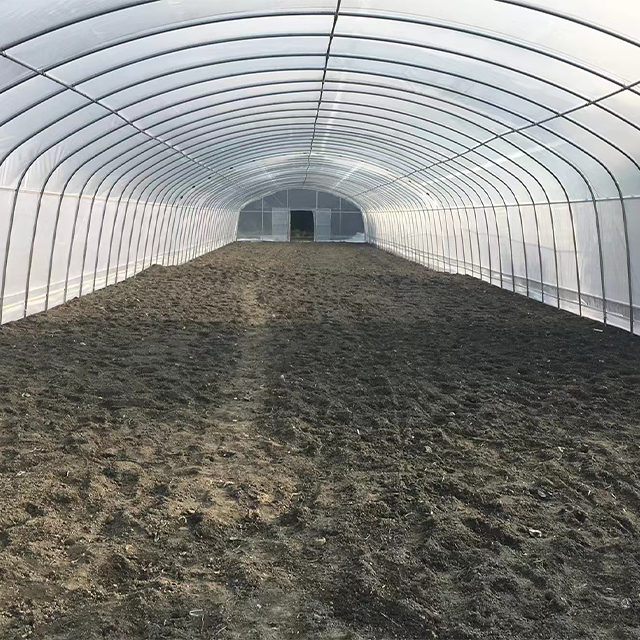 Durable Agricultural Multi-span Polytunnel Plastic Film Customized Vegetable Growing Greenhouse For Sale