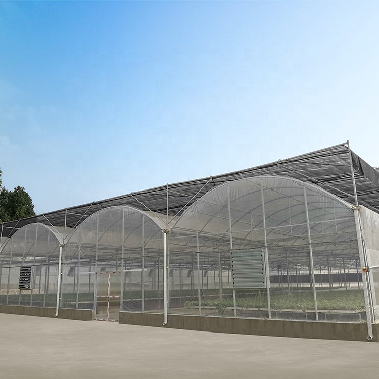 BAOLIDA hothouse polytunnel conservatory growing under cover glasshouse multi-span green house connected greenhouses
