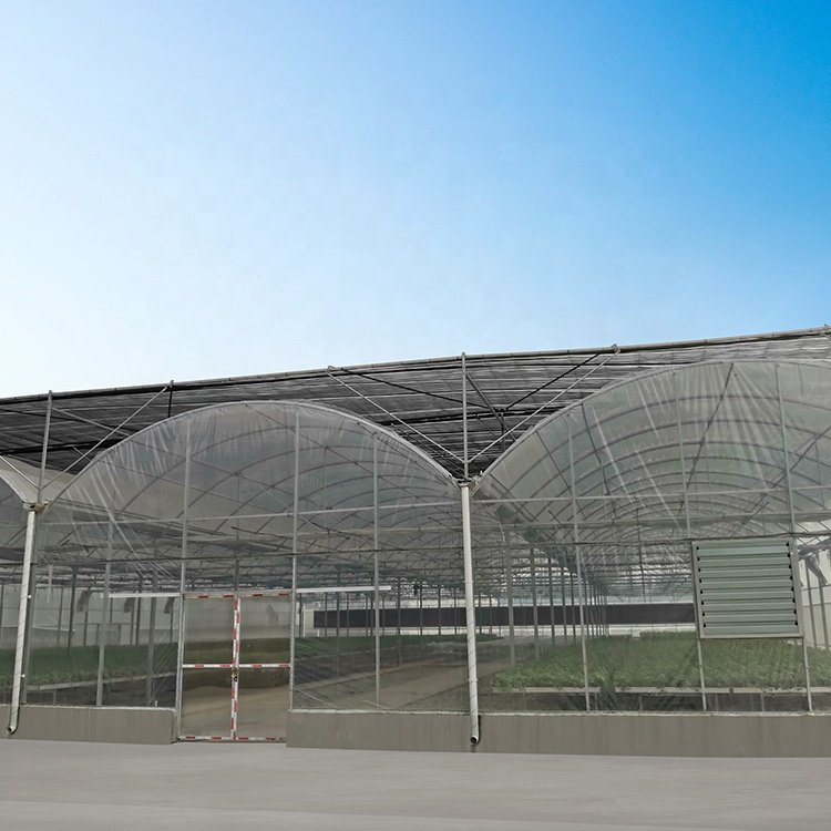 BAOLIDA hothouse polytunnel conservatory growing under cover glasshouse multi-span green house connected greenhouses
