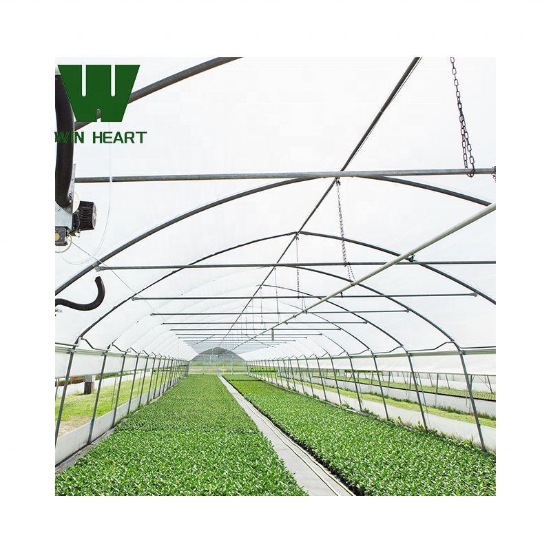 Agricultural Gothic greenhouses for sale