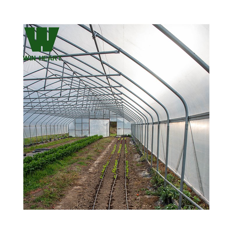 Agricultural Gothic greenhouses for sale