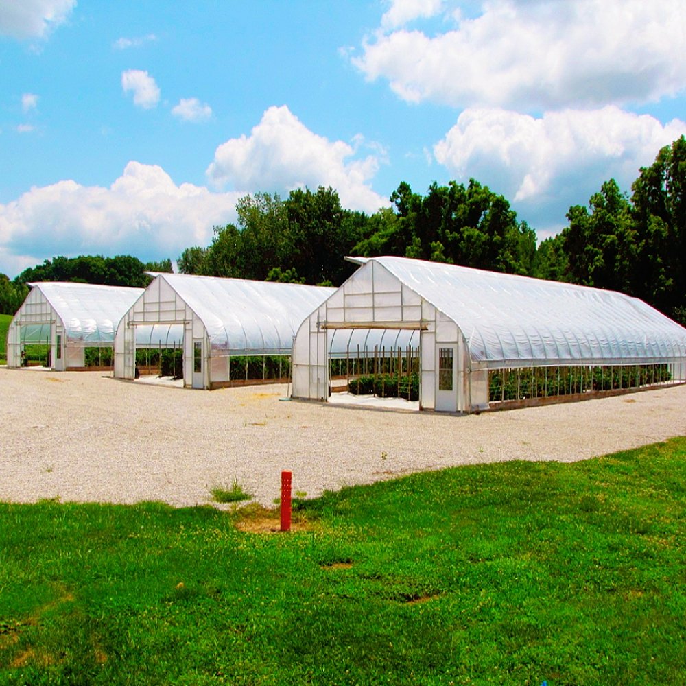 Customized 10x30m Single-Span Agricultural Greenhouse Kit Polycarbonate Film Cover Vegetable Flower Tomato Tunnel Green House PE